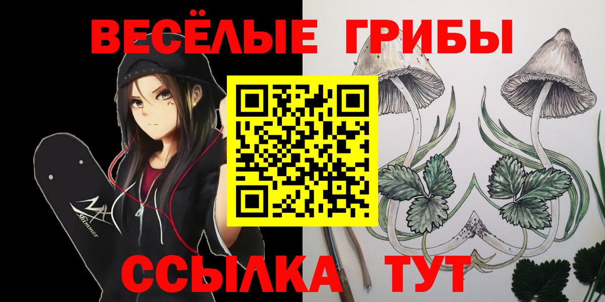 Псилоцибиновые грибы мицелий  где продают   Саратов  Вход с VPN 